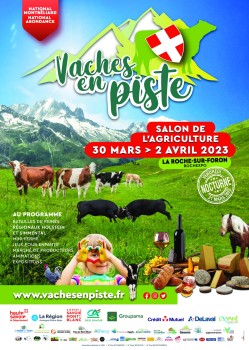 Vaches en piste