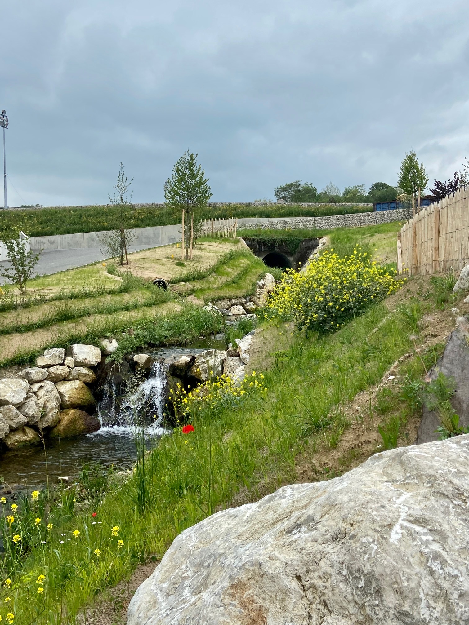 Renaturation de la Merle